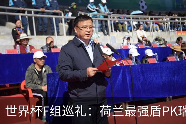 世界杯F组巡礼：荷兰最强盾PK瑞典犀利刀 日本短板明显